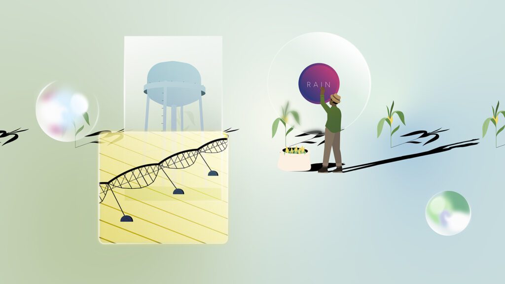 Storyboard and design for motion design projects