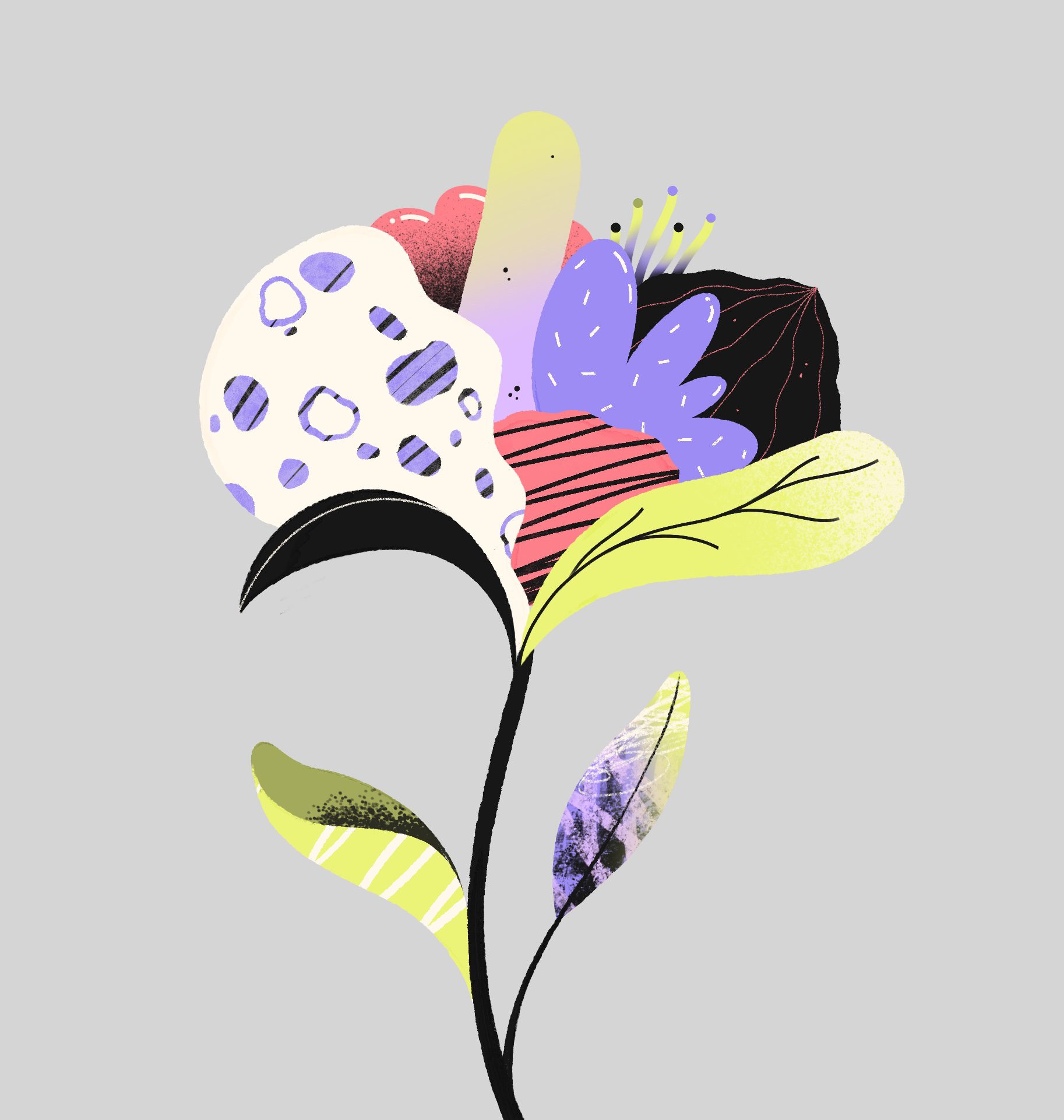 flower illustration experimental