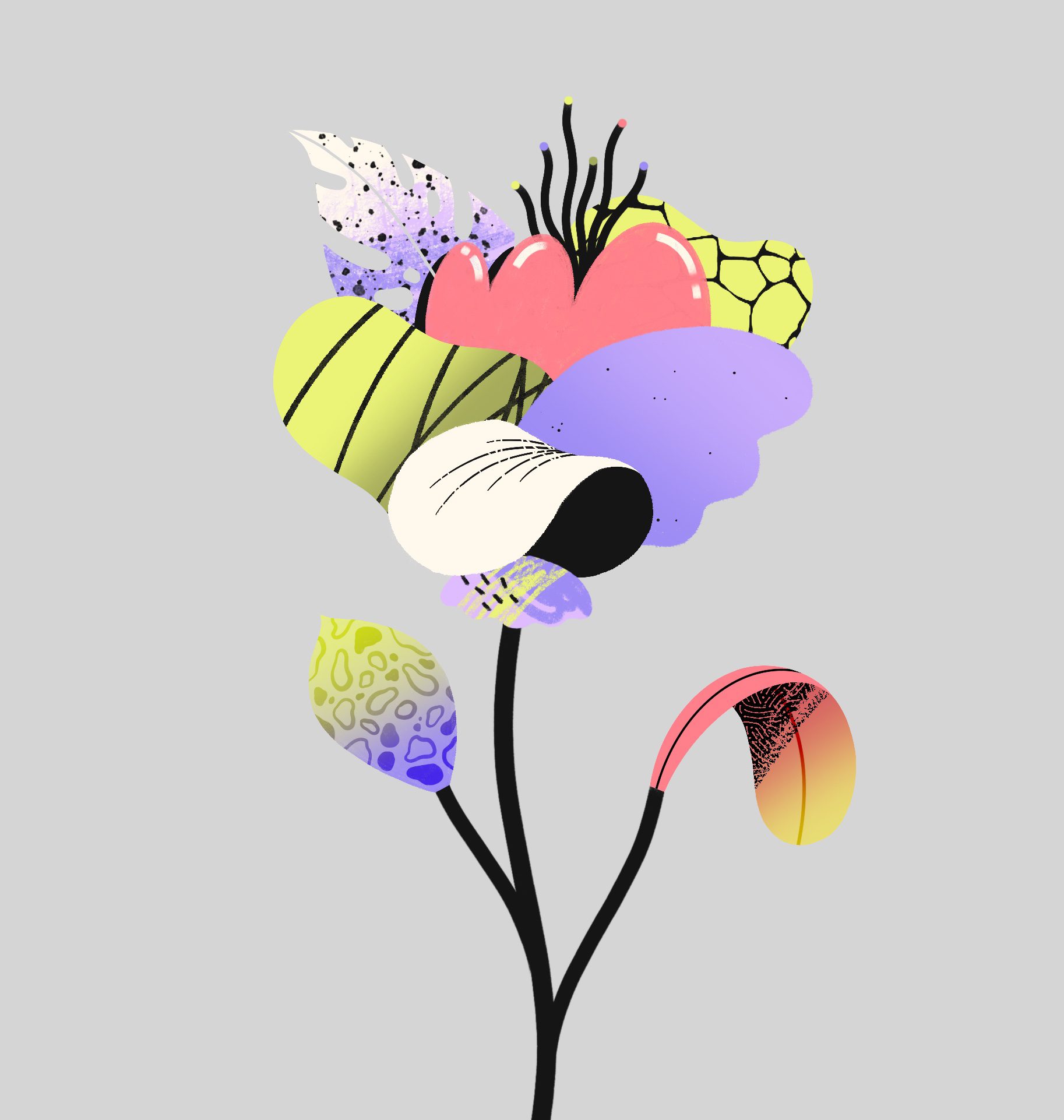 flower illustration experimental
